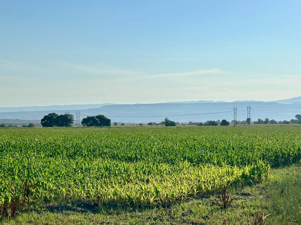 1135 Road 13, Lovell, WY 82431 photo 11