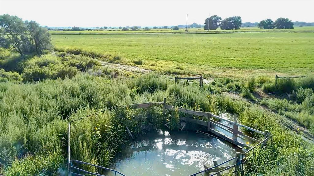 1135 Road 13, Lovell, WY 82431 photo 17