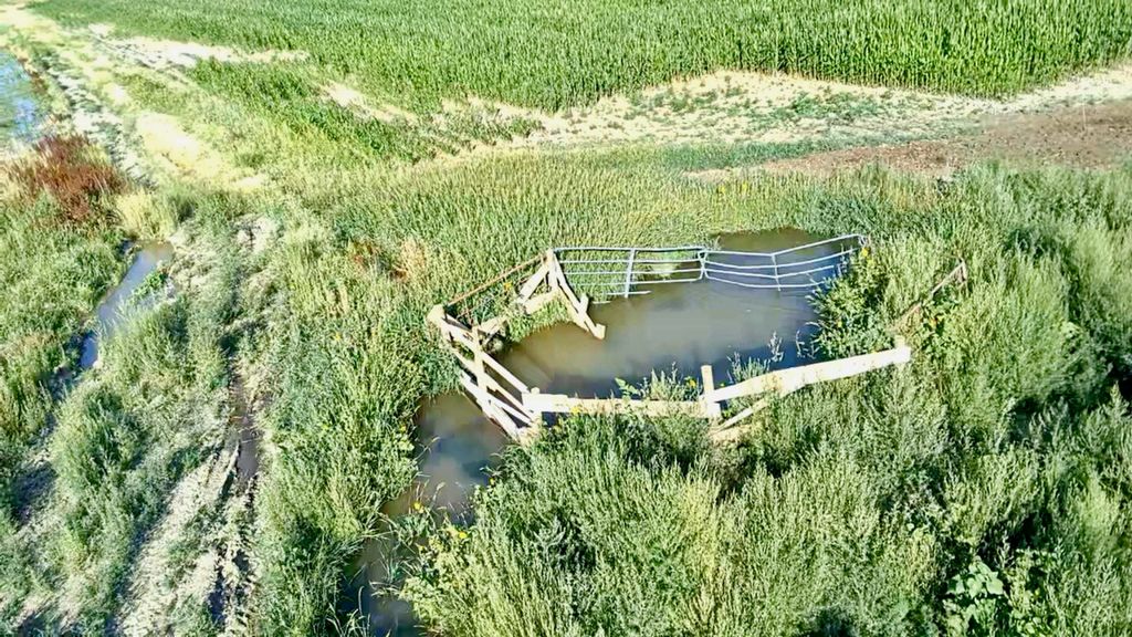 1135 Road 13, Lovell, WY 82431 photo 19