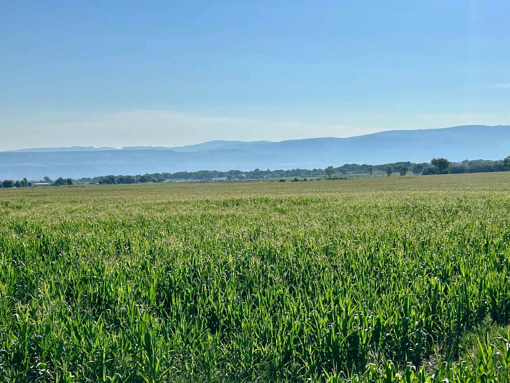 1135 Road 13, Lovell, WY 82431 photo 22