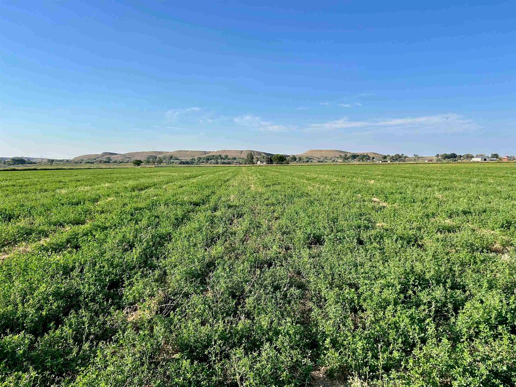 1135 Road 13, Lovell, WY 82431 photo 30