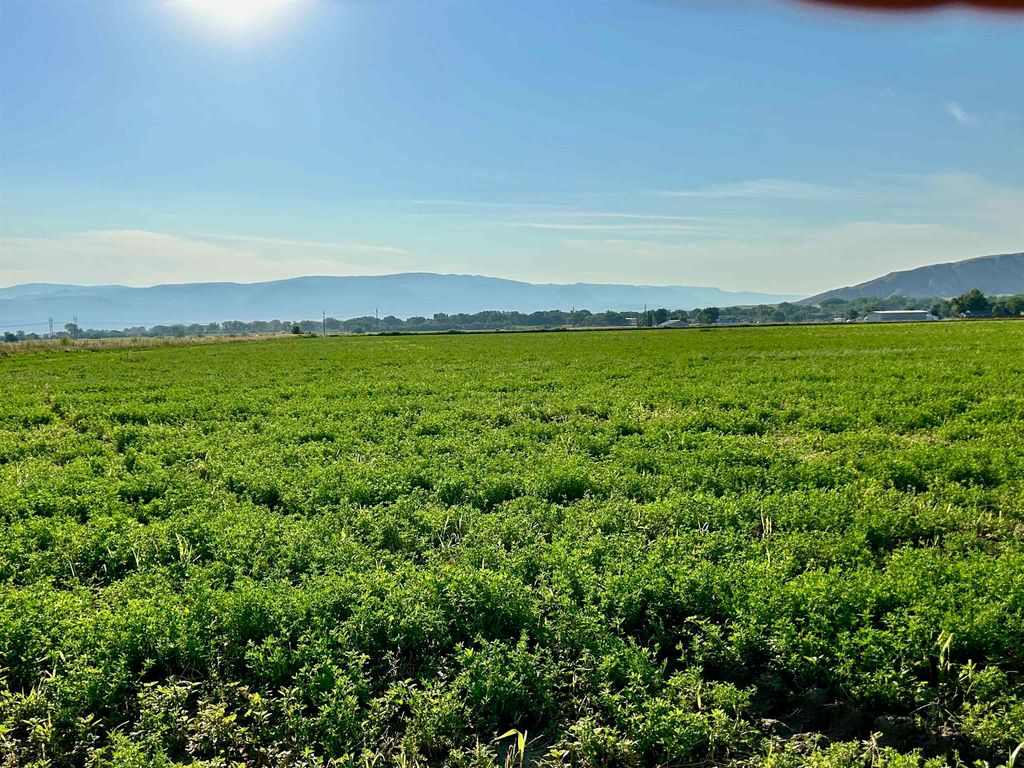 1135 Road 13, Lovell, WY 82431 photo 32