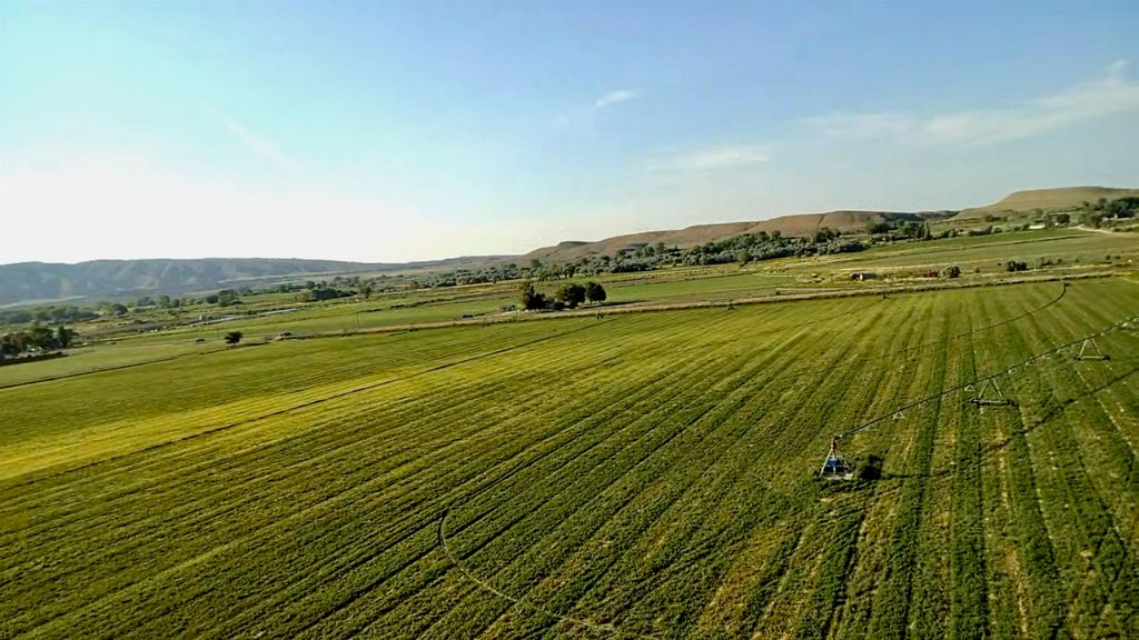 1135 Road 13, Lovell, WY 82431 photo 36