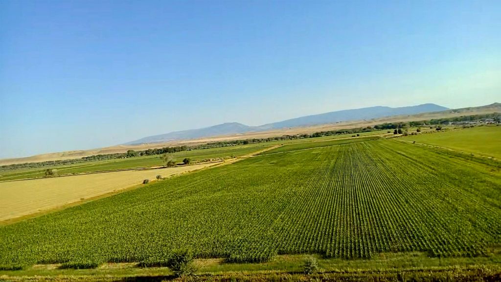 1135 Road 13, Lovell, WY 82431 photo 37