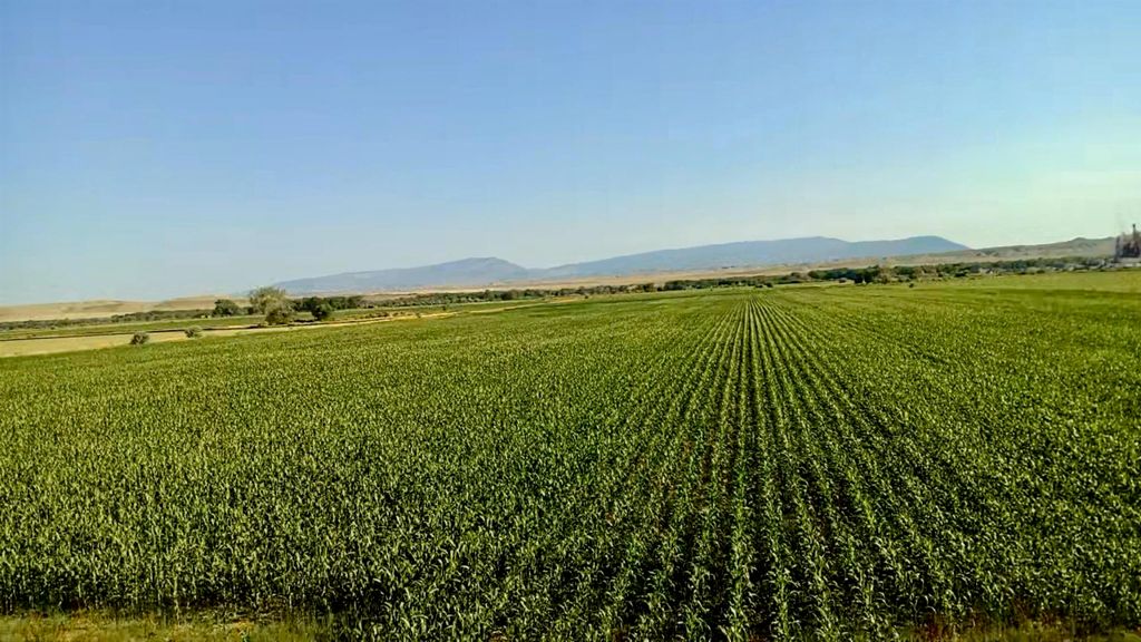 1135 Road 13, Lovell, WY 82431 photo 38