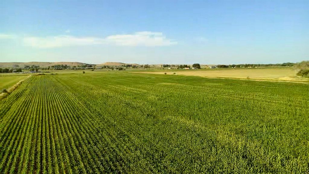 1135 Road 13, Lovell, WY 82431 photo 41