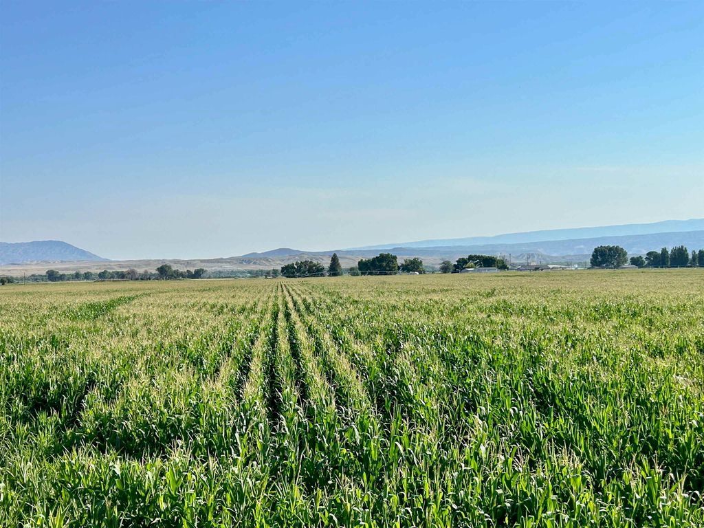 1135 Road 13, Lovell, WY 82431 photo 57