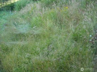 514 E 55th Street, Tacoma, WA 98404