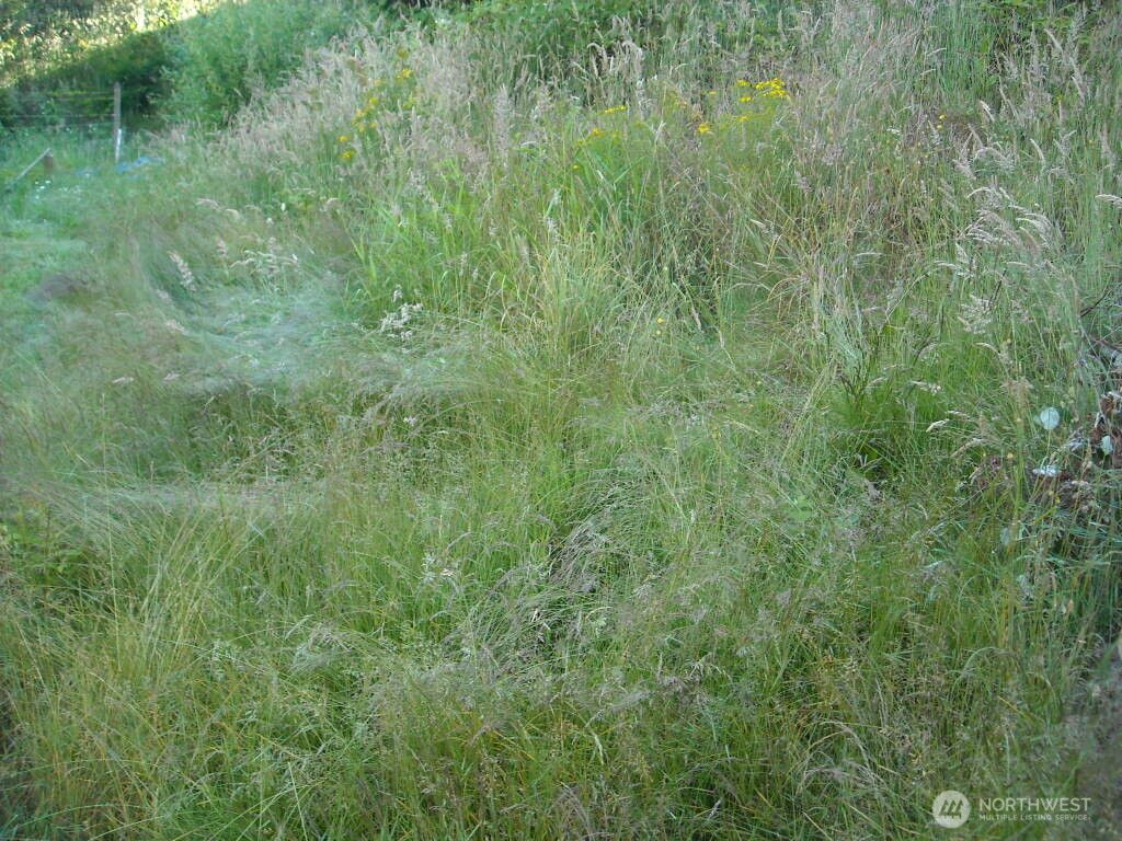 514 E 55th Street, Tacoma, WA 98404