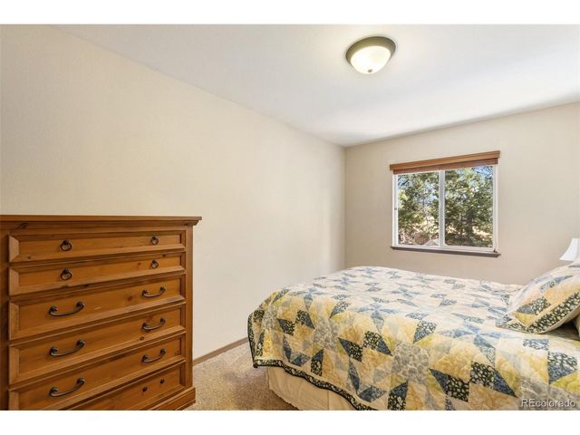 681 Misty Pines Cir, Woodland Park, CO 80863