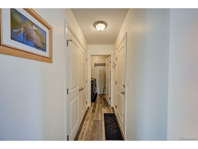 164 Larissa Ln A, Buena Vista, CO 81211