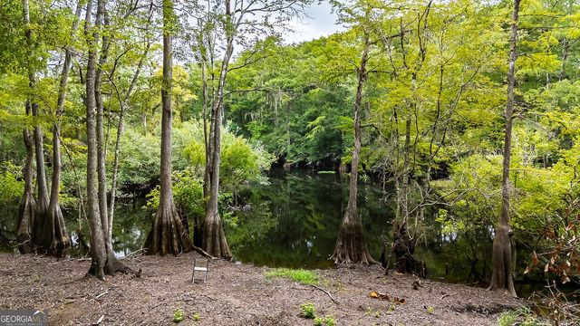 131 High Bluff Road, Rincon, GA 31326
