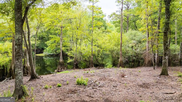 131 High Bluff Road, Rincon, GA 31326