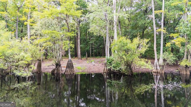 131 High Bluff Road, Rincon, GA 31326