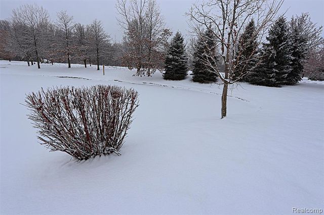 42759 Leon Drive 155, Belleville, MI 48111