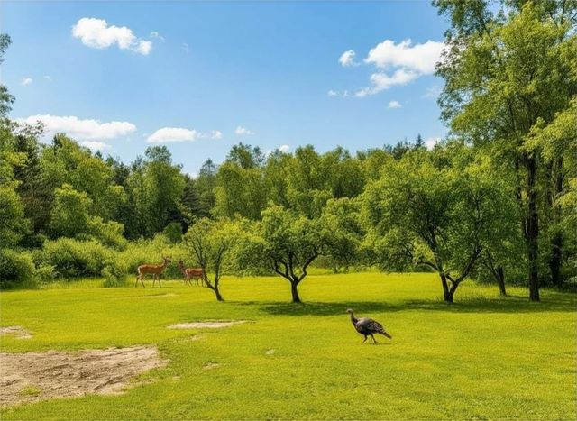 5131 W Washington Road, Lake, MI 48632