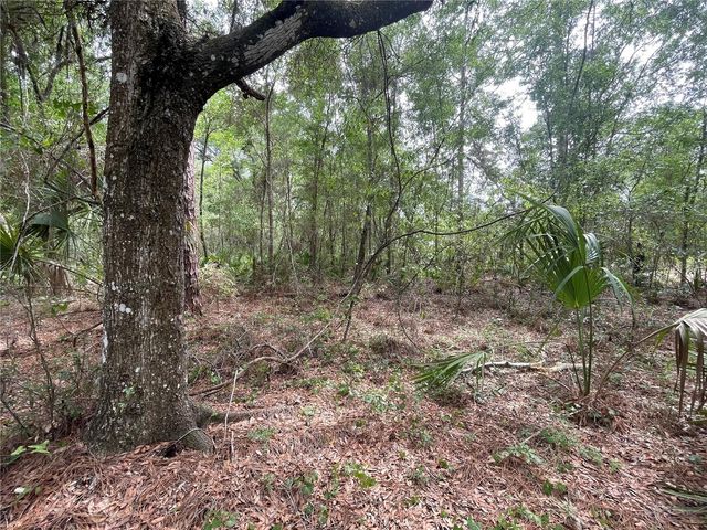 16486 CURLEW ROAD, Brooksville, FL 34614