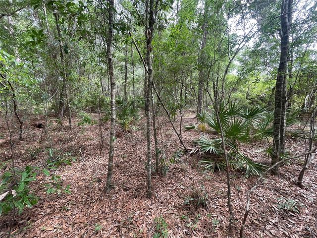 16486 CURLEW ROAD, Brooksville, FL 34614