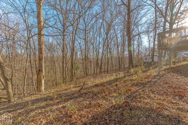 10 Dogwood Trl, Williford, AR 72482