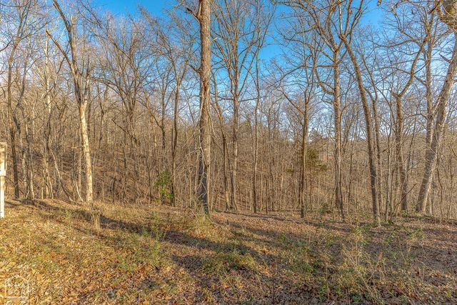 10 Dogwood Trl, Williford, AR 72482