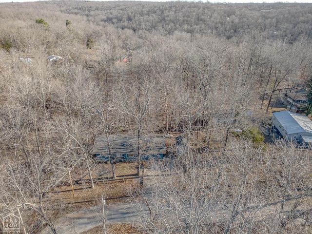 10 Dogwood Trl, Williford, AR 72482