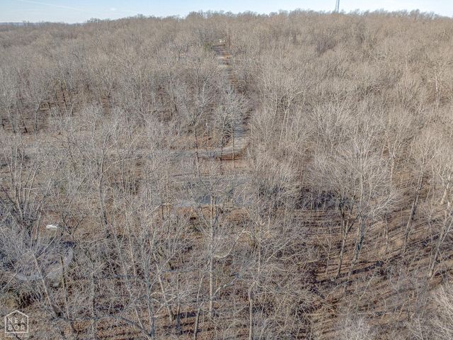 10 Dogwood Trl, Williford, AR 72482