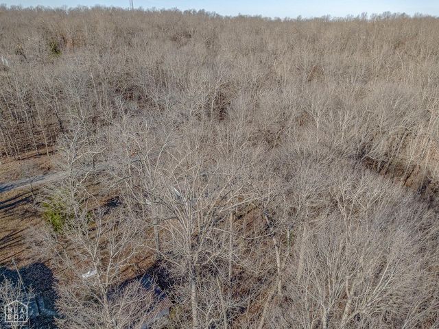 10 Dogwood Trl, Williford, AR 72482