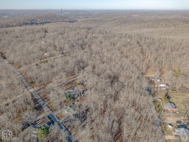 10 Dogwood Trl, Williford, AR 72482