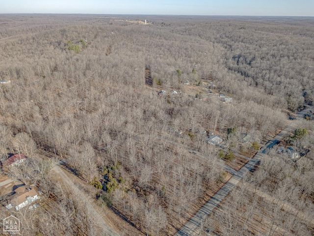 10 Dogwood Trl, Williford, AR 72482