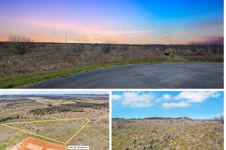 1120 Pheasant Court, Graford, TX 76449