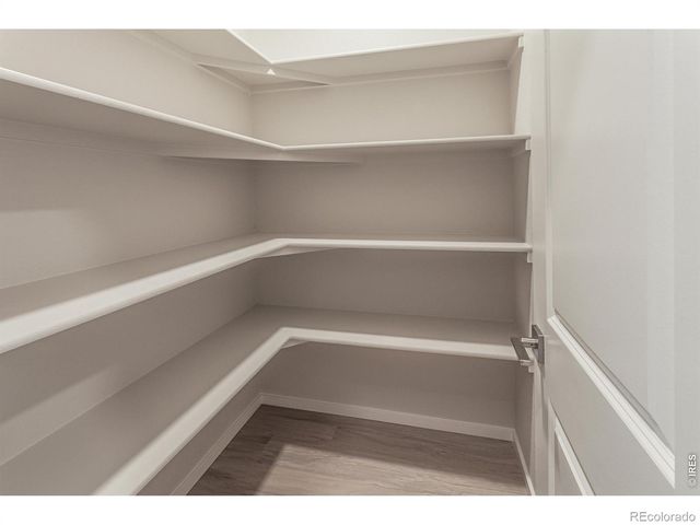 754 Trumpet Court, Windsor, CO 80550