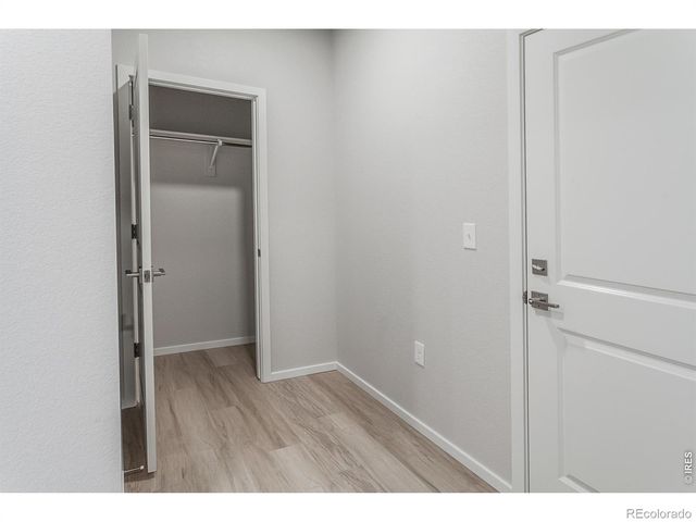 754 Trumpet Court, Windsor, CO 80550
