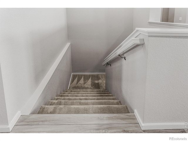 754 Trumpet Court, Windsor, CO 80550