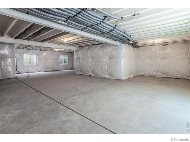 754 Trumpet Court, Windsor, CO 80550