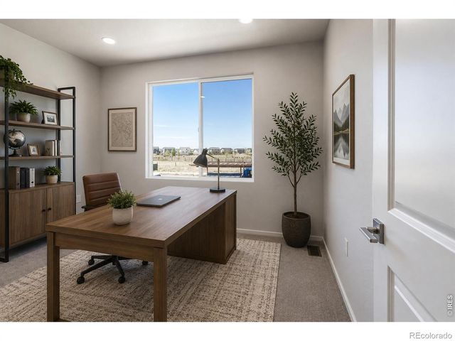 754 Trumpet Court, Windsor, CO 80550