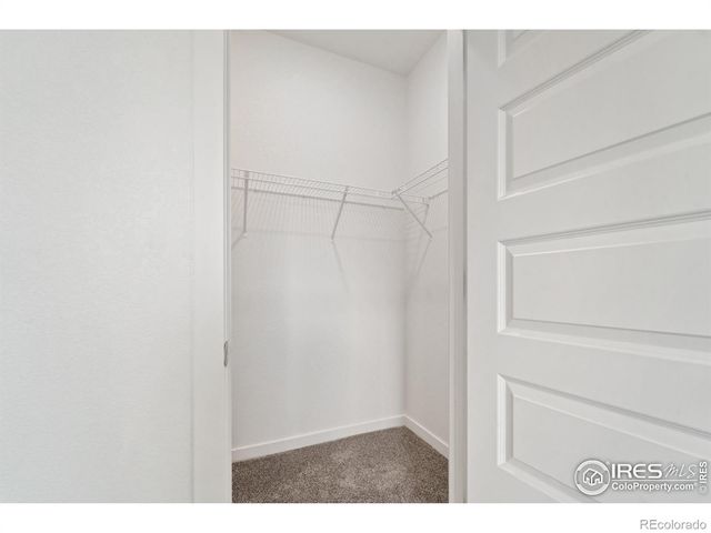 3125 Bent Grass Lane, Wellington, CO 80549