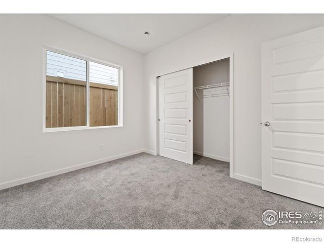 3125 Bent Grass Lane, Wellington, CO 80549