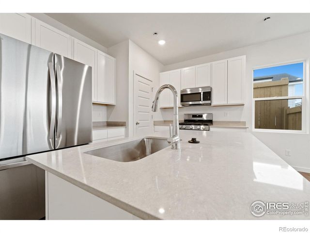 3125 Bent Grass Lane, Wellington, CO 80549