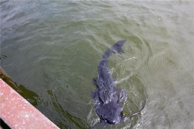 11701 Hwy 359, Mathis, TX 78368