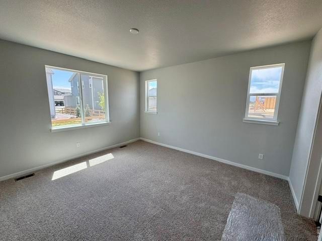 827 Mesic Ln, Windsor, CO 80550