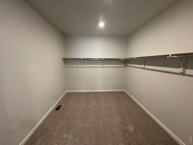 827 Mesic Ln, Windsor, CO 80550