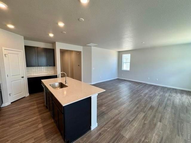 827 Mesic Ln, Windsor, CO 80550