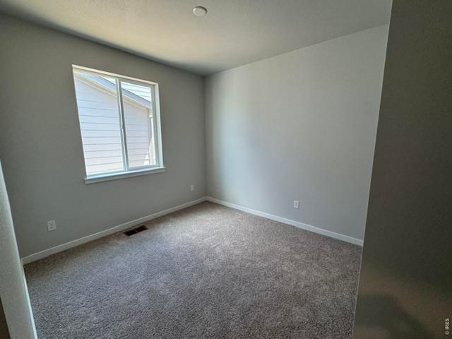 827 Mesic Ln, Windsor, CO 80550