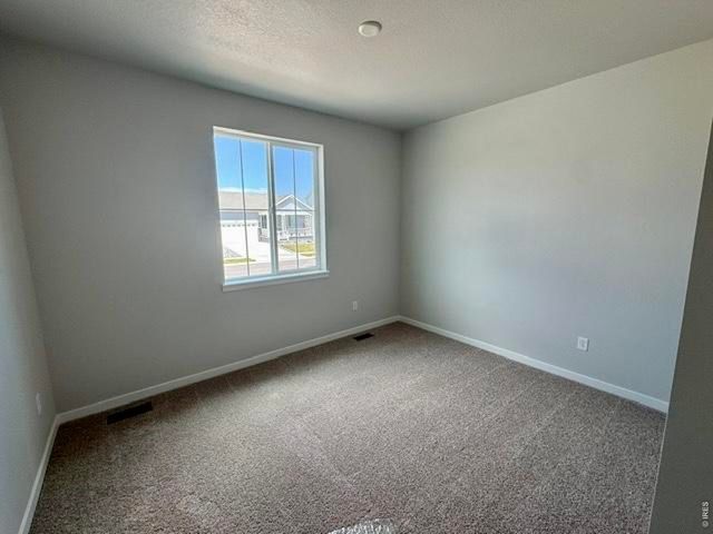 827 Mesic Ln, Windsor, CO 80550