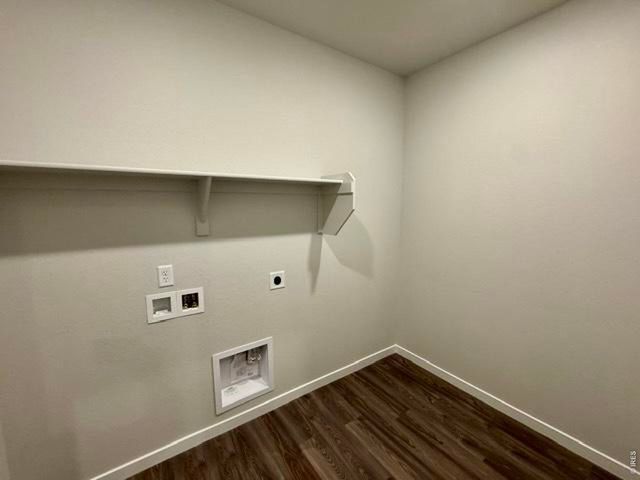 827 Mesic Ln, Windsor, CO 80550