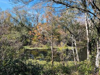 2180 SE HIGHWAY 317, Old Town, FL 32680