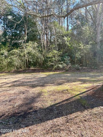 1508 Airport Road NE, Pikeville, NC 27863