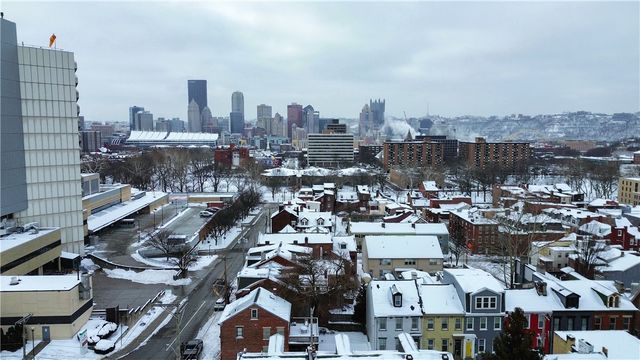 1417 Sandusky Street, Central North Side, PA 15212