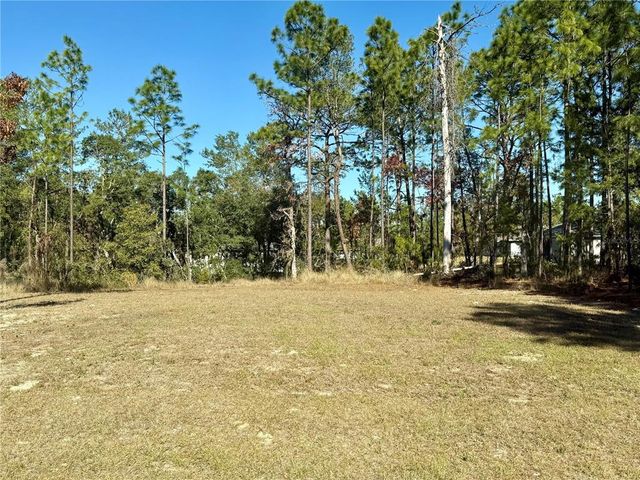 6189 SW 134TH STREET, Ocala, FL 34473