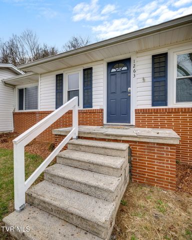 1263 Summerville Road, Kingsport, TN 37663